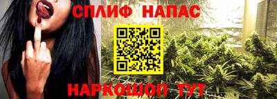 скорость Новозыбков