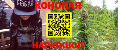 скорость Новозыбков